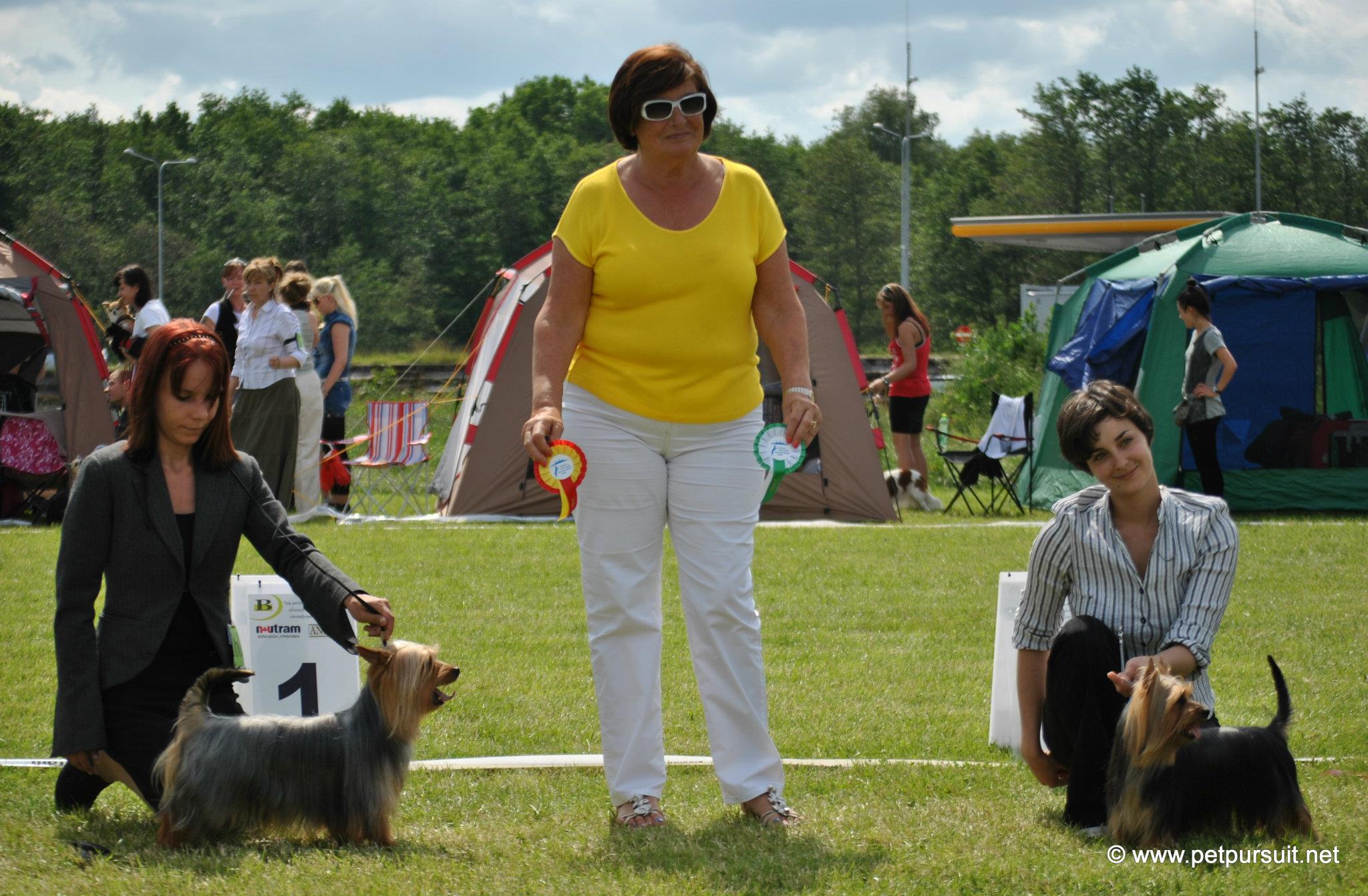 Silkies sunday judged by Monica Blaha, Austria.