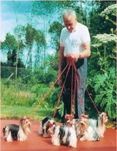 Werner Biewer